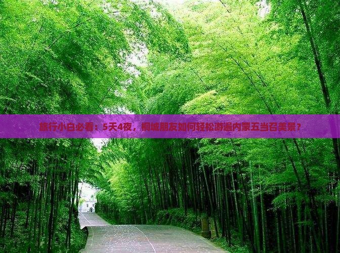 旅行小白必看：5天4夜，桐城朋友如何轻松游遍内蒙五当召美景？