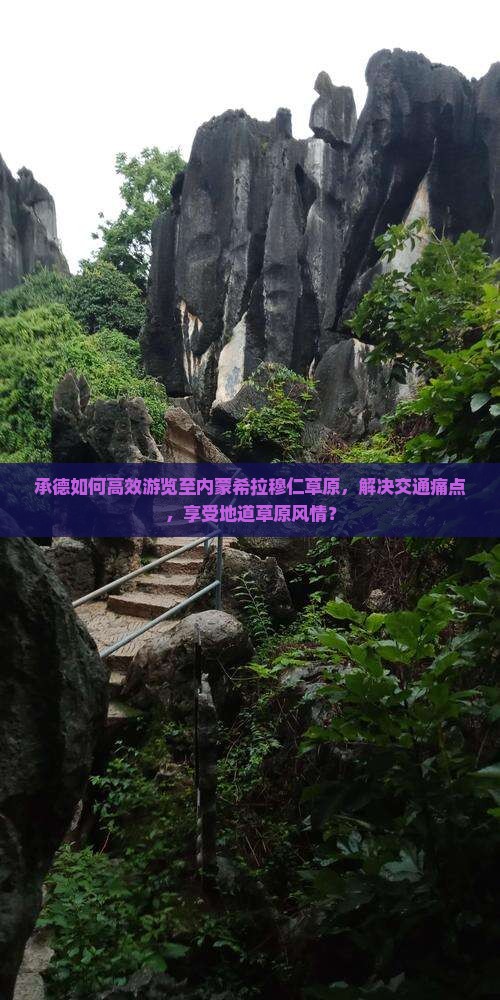 承德如何高效游览至内蒙希拉穆仁草原，解决交通痛点，享受地道草原风情？