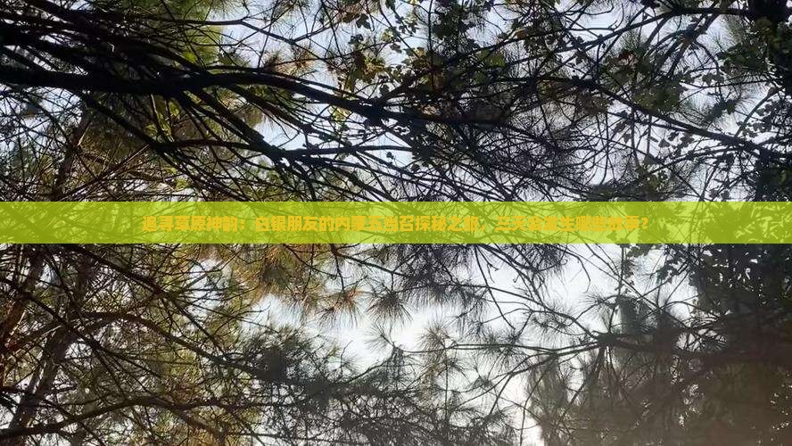 追寻草原神韵:白银朋友的内蒙五当召探秘之旅,三天会发生哪些故事? 追寻草原神韵:白银朋友的内蒙五当召探秘之旅,三天会发生哪些故事?