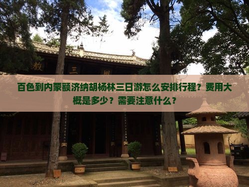 百色到内蒙额济纳胡杨林三日游怎么安排行程？费用大概是多少？需要注意什么？