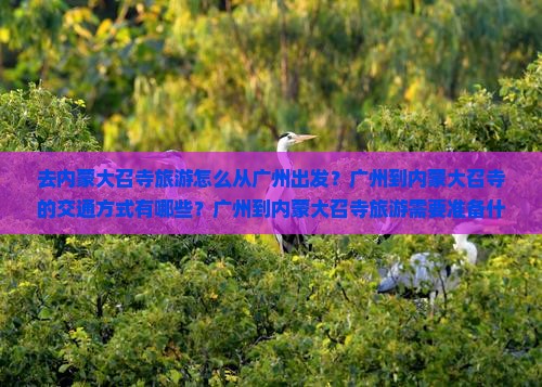 去内蒙大召寺旅游怎么从广州出发?广州到内蒙大召寺的交通方式有哪些?广州到内蒙大召寺旅游需要准备什么? 去内蒙大召寺旅游怎么从广州出发?广州到内蒙大召寺的交通方式有哪些?广州到内蒙大召寺旅游需要准备什么?