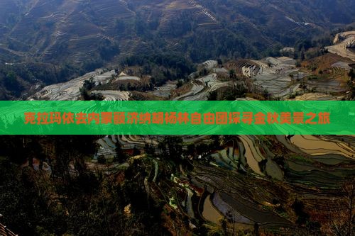克拉玛依去内蒙额济纳胡杨林自由团探寻金秋美景之旅 克拉玛依去内蒙额济纳胡杨林自由团探寻金秋美景之旅