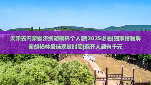 天津去内蒙额济纳胡杨林个人游