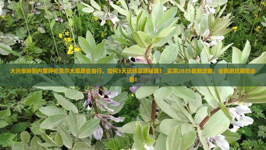 大兴安岭到内蒙呼伦贝尔大草原自由行