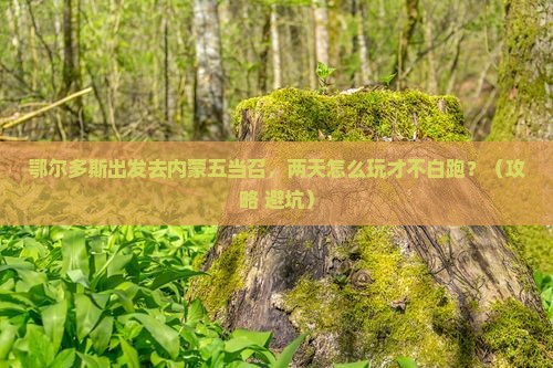 鄂尔多斯去内蒙五当召二日游