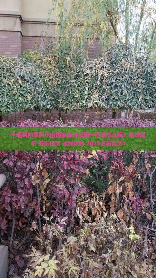 十堰到内蒙阿尔山国家森林公园一日游