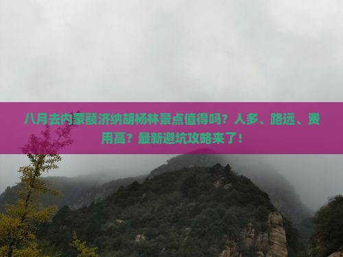 八月去内蒙额济纳胡杨林景点