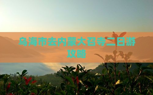 乌海市去内蒙大召寺二日游