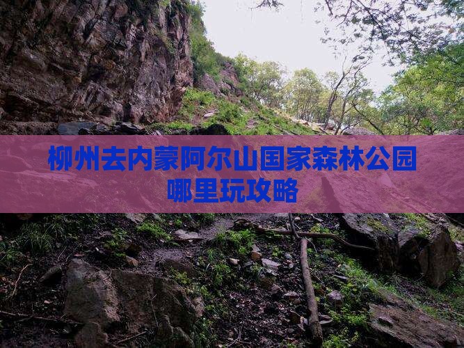 柳州去内蒙阿尔山国家森林公园哪里玩