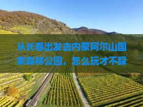 长春去内蒙阿尔山国家森林公园哪里玩