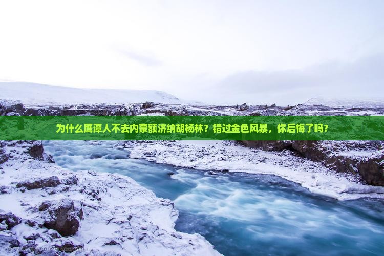 鹰潭到内蒙额济纳胡杨林旅游