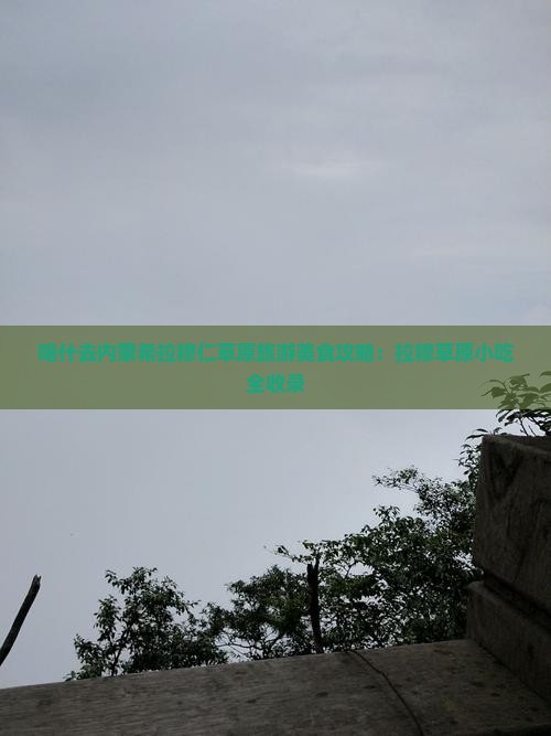 喀什去内蒙希拉穆仁草原旅游小吃