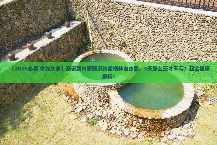 泰安到内蒙额济纳胡杨林自由团