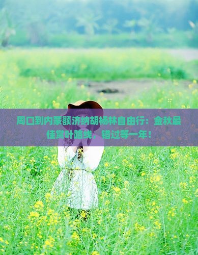 周口到内蒙额济纳胡杨林自由行