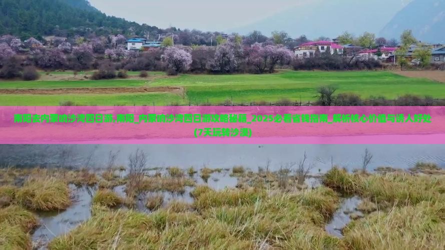 南阳去内蒙响沙湾四日游