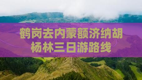 鹤岗去内蒙额济纳胡杨林三日游