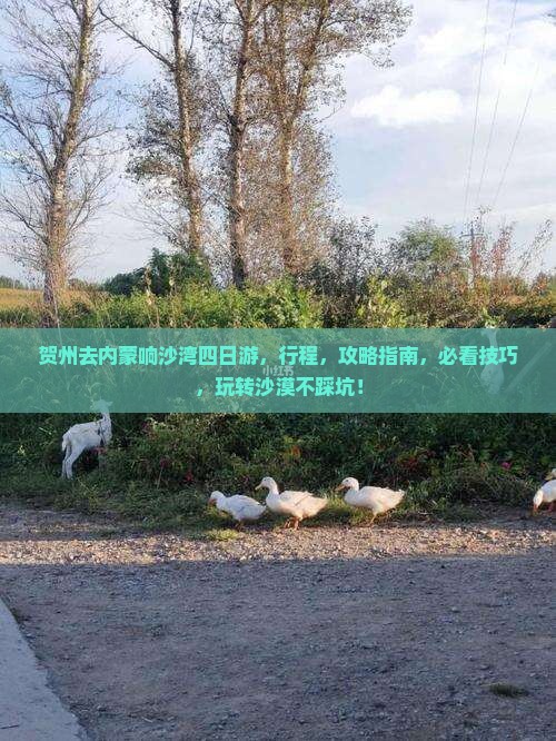 贺州去内蒙响沙湾四日游