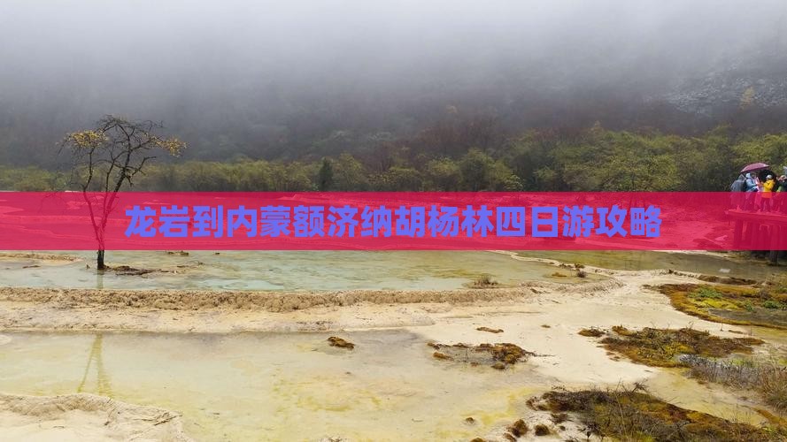 龙岩到内蒙额济纳胡杨林四日游