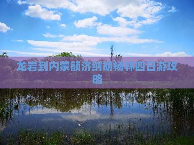 龙岩到内蒙额济纳胡杨林四日游