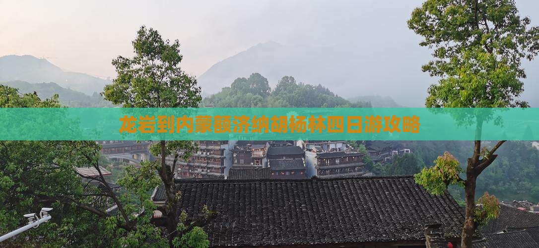 龙岩到内蒙额济纳胡杨林四日游