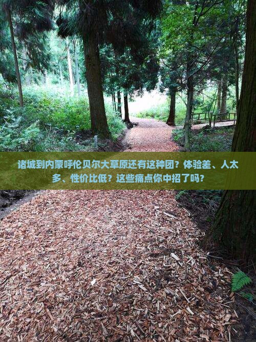诸城到内蒙呼伦贝尔大草原大型旅游团