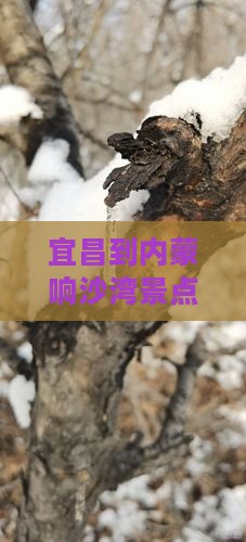 宜昌到内蒙响沙湾景点