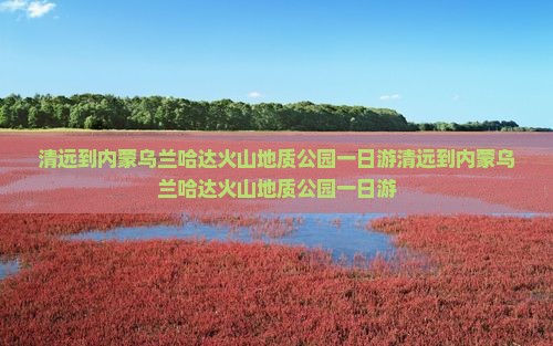 清远到内蒙乌兰哈达火山地质公园一日游