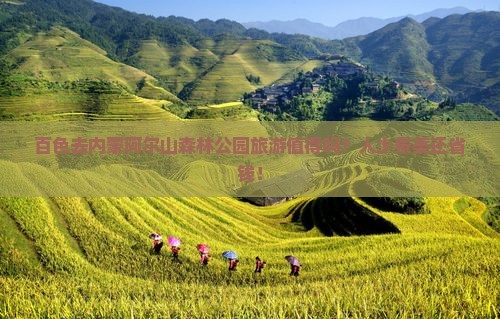百色去内蒙阿尔山国家森林公园旅游