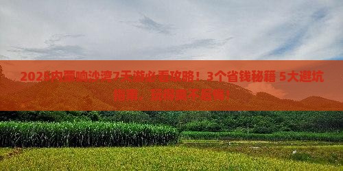 七月去内蒙响沙湾攻略