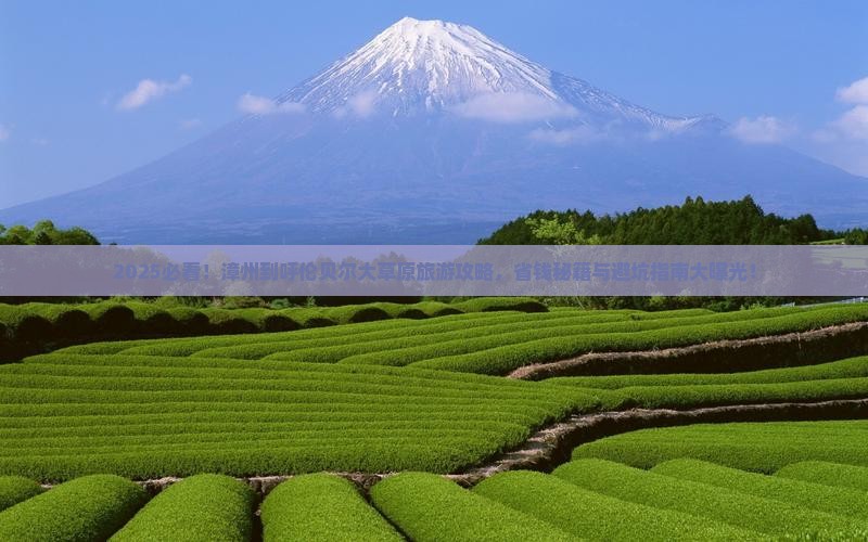 漳州到内蒙呼伦贝尔大草原旅游
