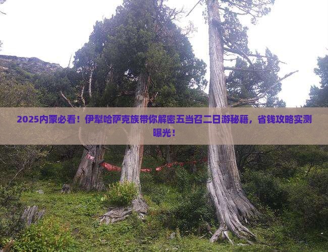 伊犁哈萨克去内蒙五当召二日游