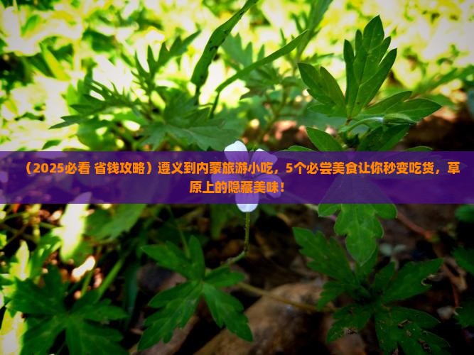 遵义到内蒙旅游小吃
