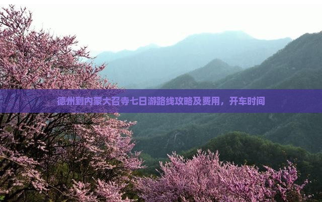 德州到内蒙大召寺七日游