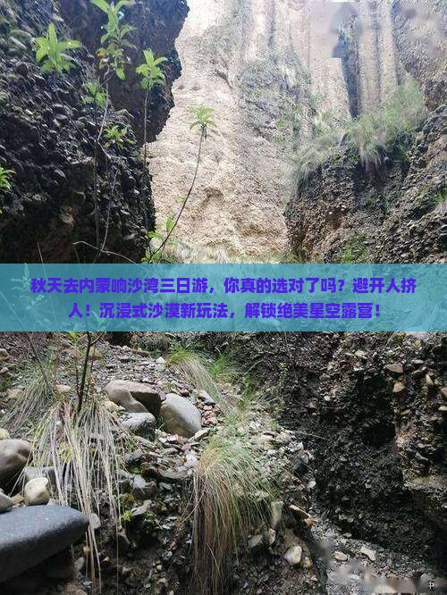 秋天去内蒙响沙湾三日游