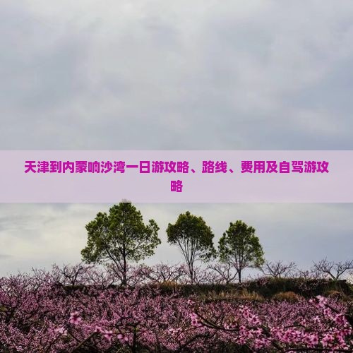 天津到内蒙响沙湾一日游