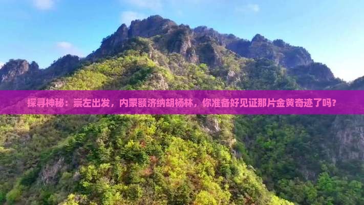 探寻神秘：崇左出发，内蒙额济纳胡杨林，你准备好见证那片金黄奇迹了吗？