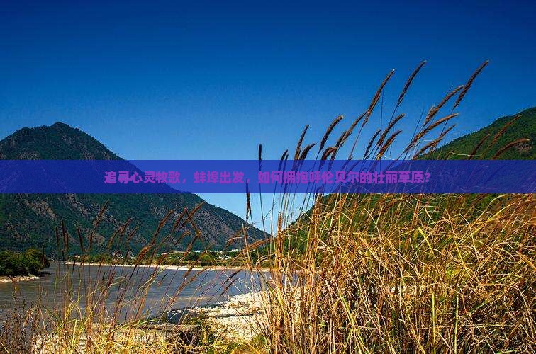 追寻心灵牧歌，蚌埠出发，如何拥抱呼伦贝尔的壮丽草原？