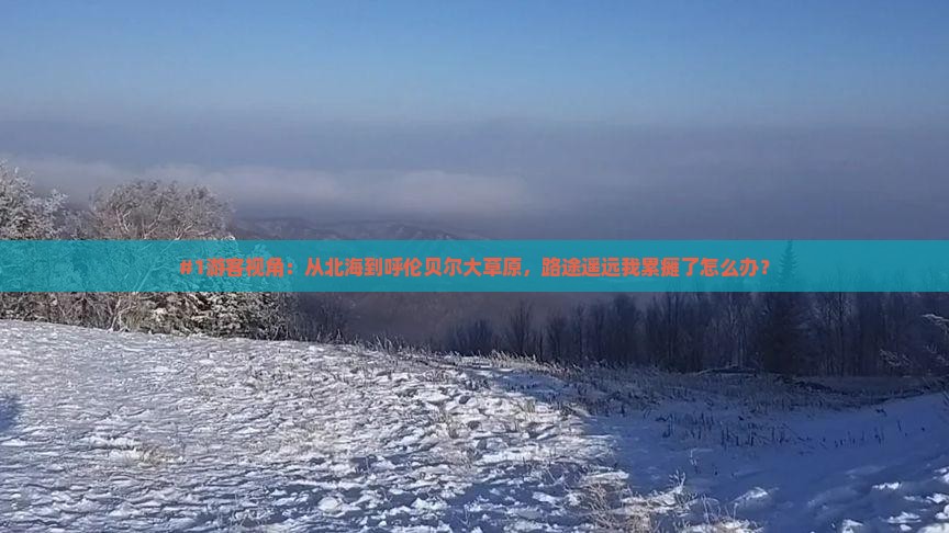 #1游客视角：从北海到呼伦贝尔大草原，路途遥远我累瘫了怎么办？