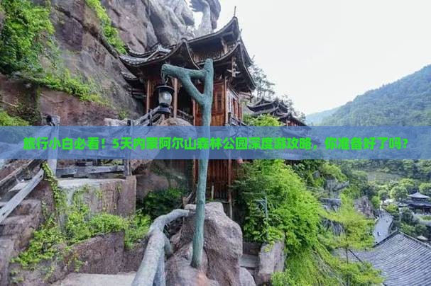 旅行小白必看！5天内蒙阿尔山森林公园深度游攻略，你准备好了吗？