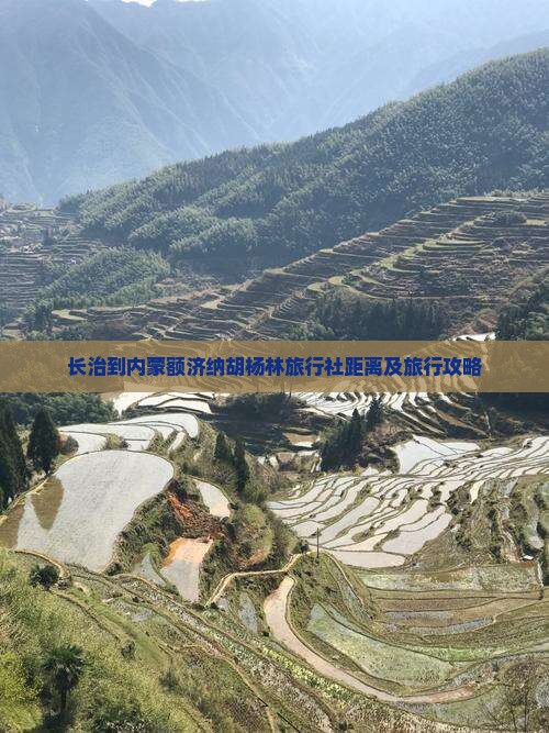 长治到内蒙额济纳胡杨林旅行社距离及旅行攻略