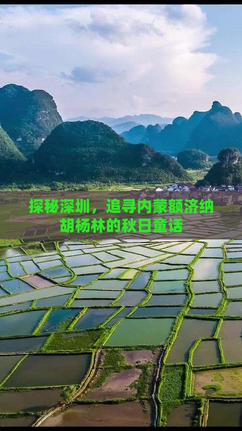 探秘深圳，追寻内蒙额济纳胡杨林的秋日童话