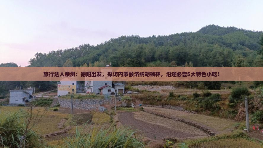 旅行达人亲测：德阳出发，探访内蒙额济纳胡杨林，沿途必尝5大特色小吃！
