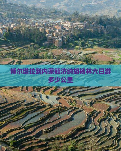 博尔塔拉到内蒙额济纳胡杨林六日游多少公里