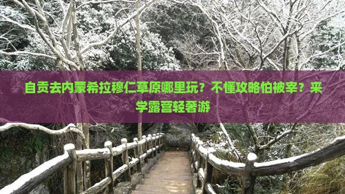 自贡去内蒙希拉穆仁草原哪里玩?不懂攻略怕被宰?来学露营轻奢游 自贡去内蒙希拉穆仁草原哪里玩?不懂攻略怕被宰?来学露营轻奢游