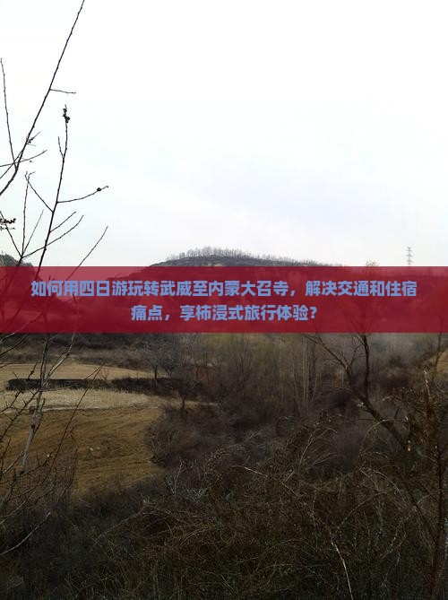 如何用四日游玩转武威至内蒙大召寺，解决交通和住宿痛点，享柿浸式旅行体验？