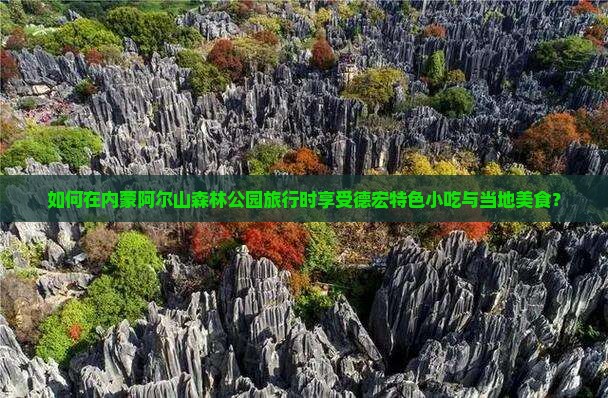 如何在内蒙阿尔山森林公园旅行时享受德宏特色小吃与当地美食？