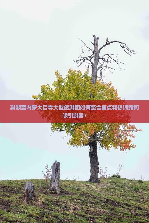 巢湖至内蒙大召寺大型旅游团如何整合痛点和热词新词吸引游客？