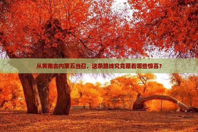 从黄南去内蒙五当召，这条路线究竟藏着哪些惊喜？