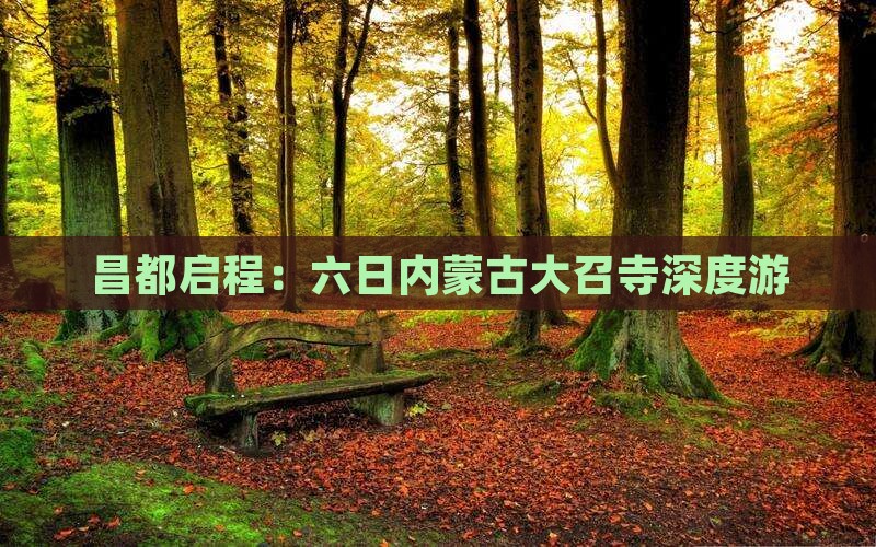 昌都启程：六日内蒙古大召寺深度游