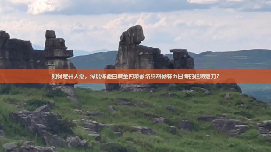 如何避开人潮，深度体验白城至内蒙额济纳胡杨林五日游的独特魅力？